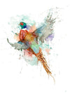 Aaron Burgers Wall Art Pheasant in Flight Print
