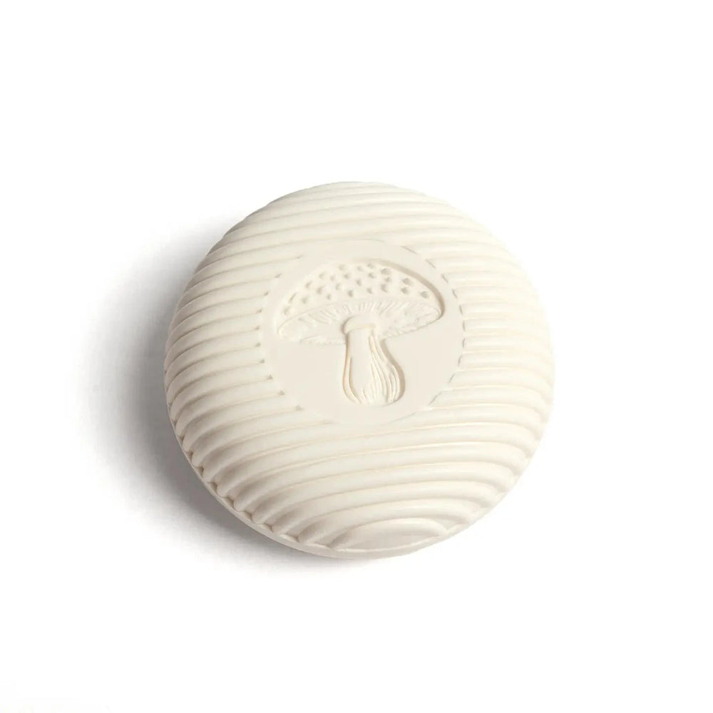 Pine Gnome Soap in a woodland-inspired lifestyle display