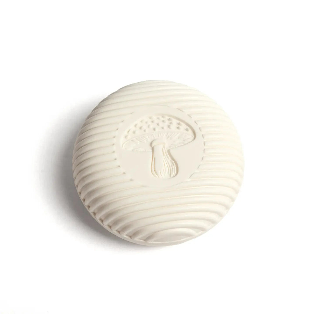 Pine Gnome Soap in a woodland-inspired lifestyle display