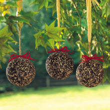 Load image into Gallery viewer, Mr. Bird Proudly Handmade in Texas, USA Seed &amp; Nut Ornaments, Christmas Bird Treats
