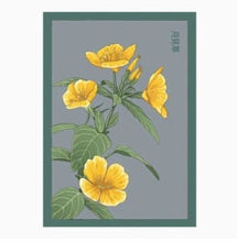 Load image into Gallery viewer, Chive Evening Primrose Shido Floral Art Posters by Chive
