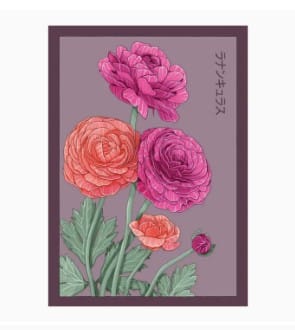 Chive Ranunculus Shido Floral Art Posters by Chive