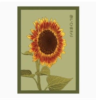 Chive Sunflower Shido Floral Art Posters by Chive