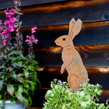 Load image into Gallery viewer, Elegant Garden Design Home Decor - Garden&amp; - Outdoor Standing Bunny Garden Stake
