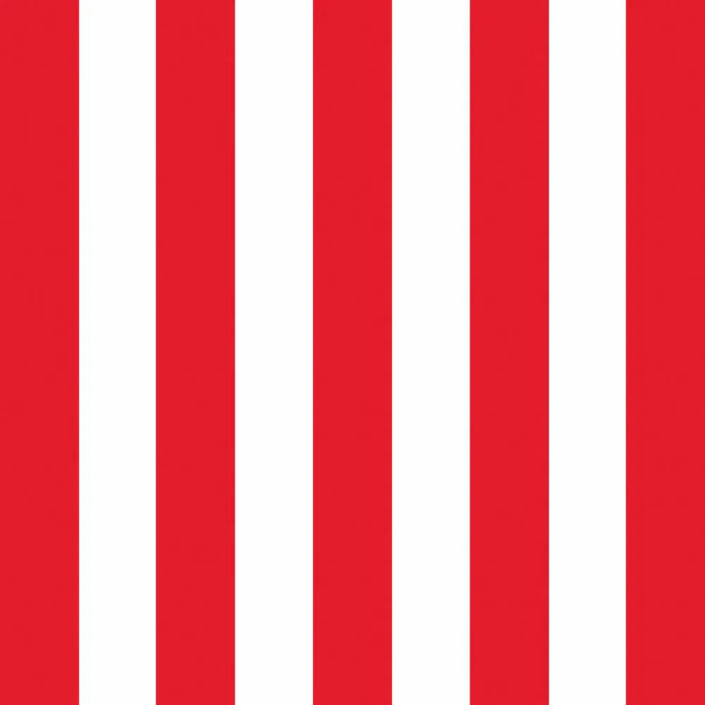 PaperProducts Design Paper Napkins Vertical Stripes Lunch Napkins