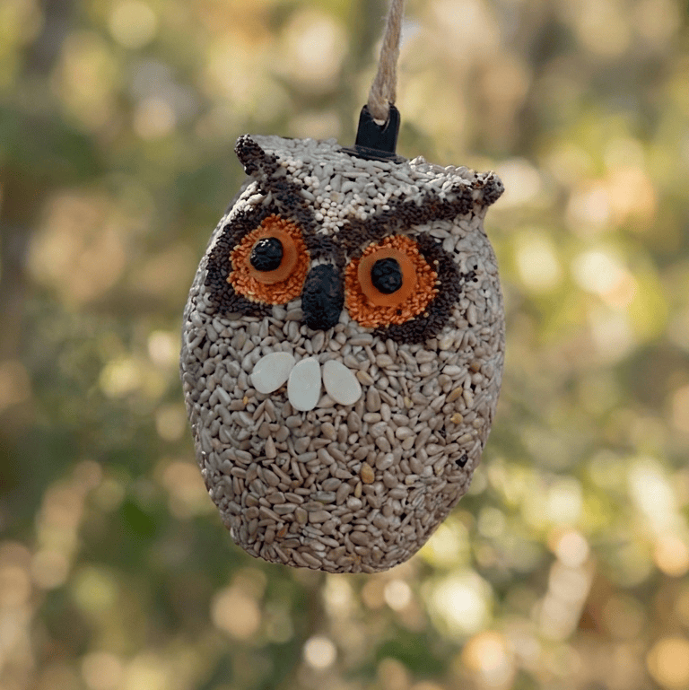 Mr. Bird Bird Seed Treat Whoo-lio the Owl Bird Seed Treat