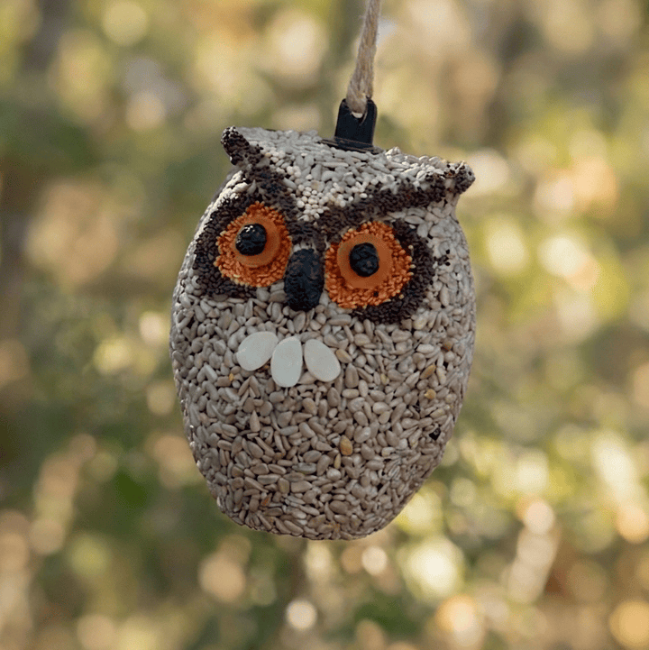 Mr. Bird Bird Seed Treat Whoo-lio the Owl Bird Seed Treat