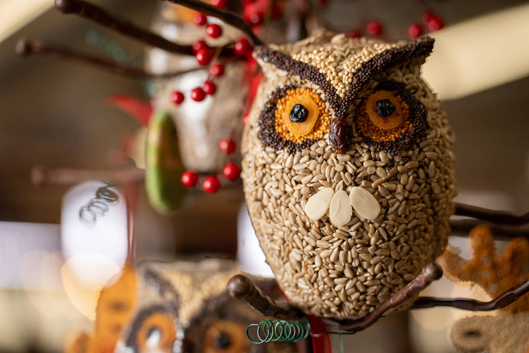 Mr. Bird Bird Seed Treat Whoo-lio the Owl Bird Seed Treat