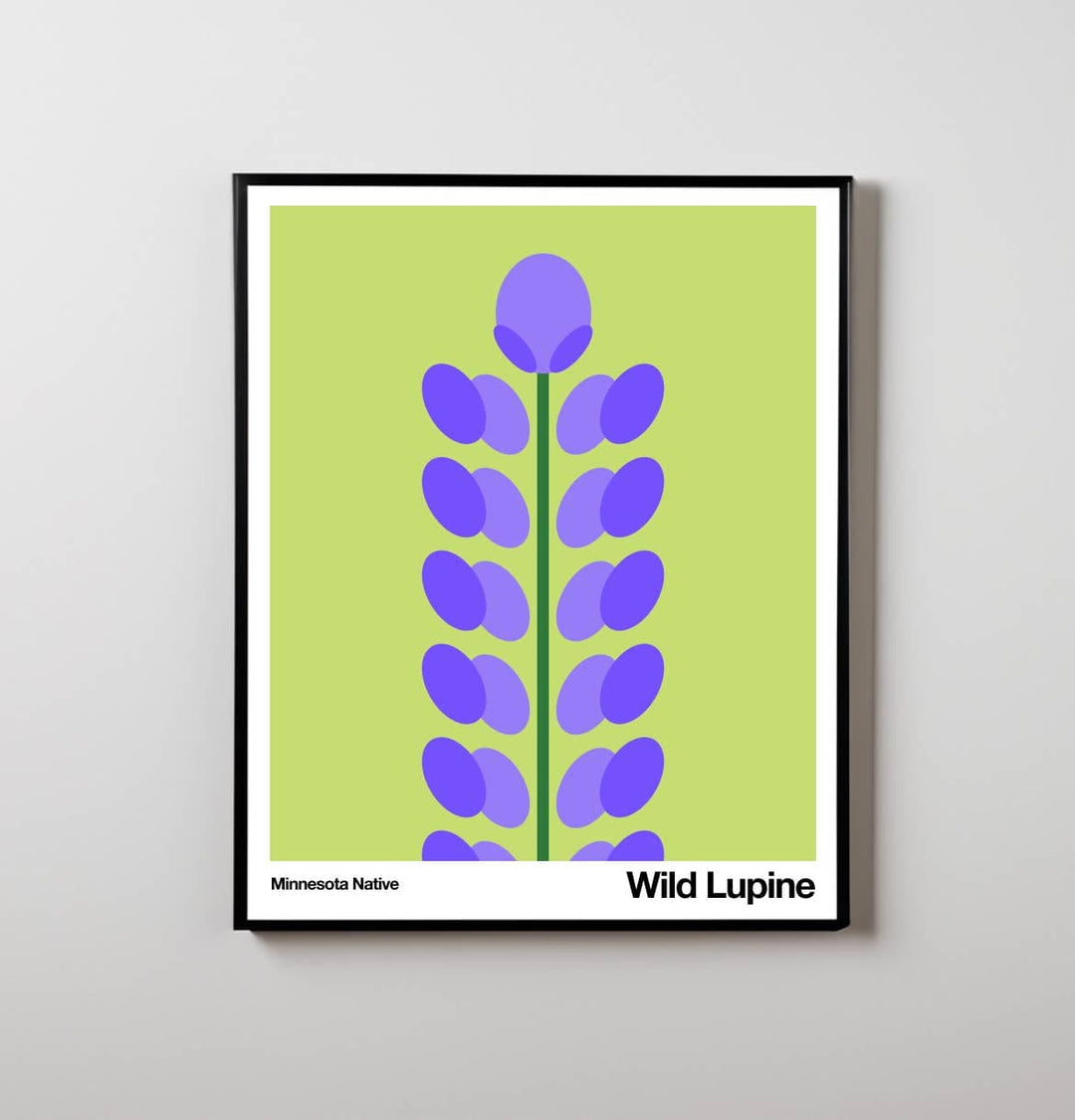 Little Dipper Art Wild Lupine | Art Print | Minnesota Native Plant