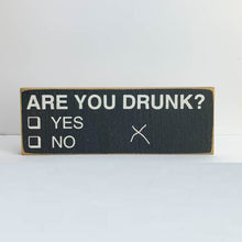 Load image into Gallery viewer, Sawdust City Proudly Handmade in Wisconsin, USA &quot;Are You Drunk?&quot; Wooden Sign
