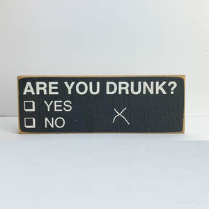 Sawdust City Proudly Handmade in Wisconsin, USA "Are You Drunk?" Wooden Sign