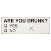 Sawdust City Proudly Handmade in Wisconsin, USA "Are You Drunk?" Wooden Sign