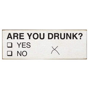 Sawdust City Proudly Handmade in Wisconsin, USA "Are You Drunk?" Wooden Sign