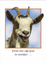 Load image into Gallery viewer, Sugarhouse Greetings Cards From One Old Goat... Card
