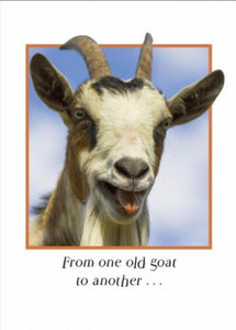 Sugarhouse Greetings Cards From One Old Goat... Card