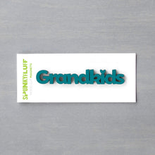 Load image into Gallery viewer, Spunky Fluff Proudly handmade in South Dakota, USA Teal Grandkids-Tiny Word Magnet
