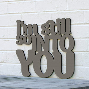 Spunky Fluff Proudly handmade in South Dakota, USA Small / Charcoal Gray I'm Still So Into You