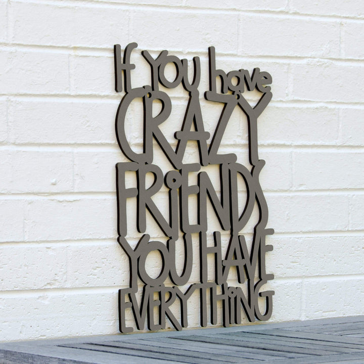Spunky Fluff Proudly handmade in South Dakota, USA Medium / Charcoal Gray If You Have Crazy Friends You Have Everything