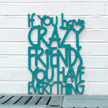Load image into Gallery viewer, Spunky Fluff Proudly handmade in South Dakota, USA Medium / Teal If You Have Crazy Friends You Have Everything
