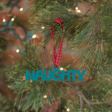 Load image into Gallery viewer, Spunky Fluff Proudly handmade in South Dakota, USA Ornament / Teal Naughty Tiny Word Ornament
