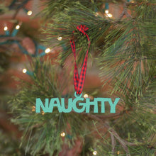 Load image into Gallery viewer, Spunky Fluff Proudly handmade in South Dakota, USA Ornament / Turquoise Naughty Tiny Word Ornament
