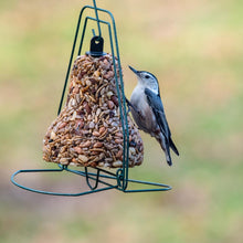Load image into Gallery viewer, Mr. Bird Proudly Handmade in Texas, USA Seed Feeder Bell Hanger
