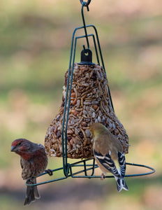 Mr. Bird Proudly Handmade in Texas, USA Seed Feeder Bell Hanger