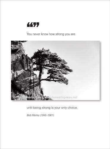 The Borealis Press Cards You Never Know How Strong... Card
